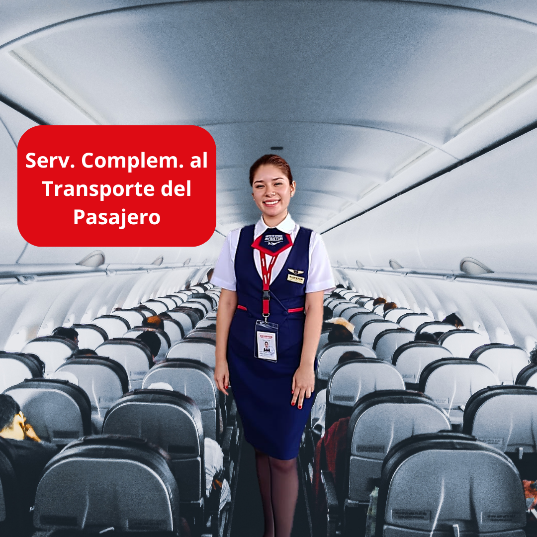 Servicios Complementarios al Transporte del Pasajero